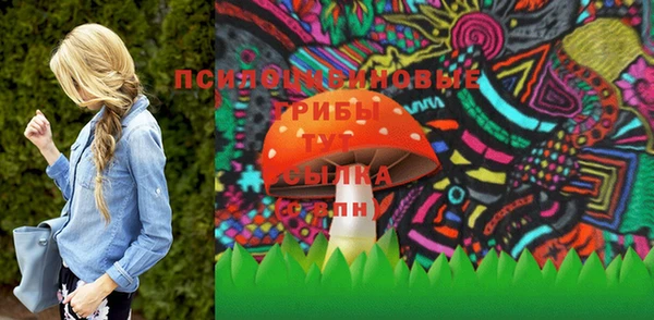 дмт Алексин