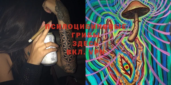 дмт Алексин