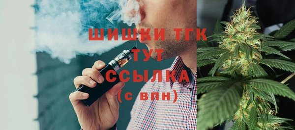гашик Алзамай