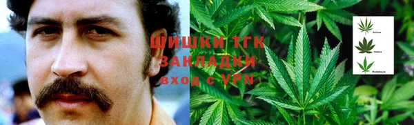 гашик Алзамай