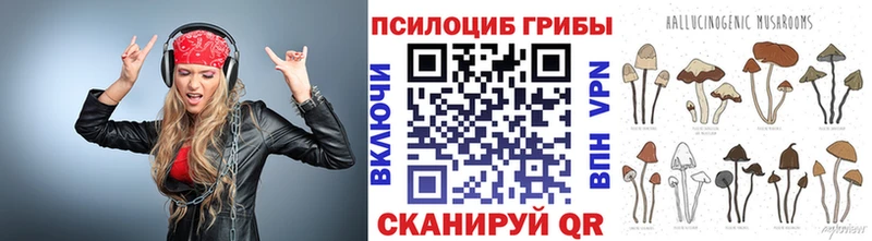 hydra как зайти  Дорогобуж  Галлюциногенные грибы Cubensis 